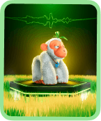 nft